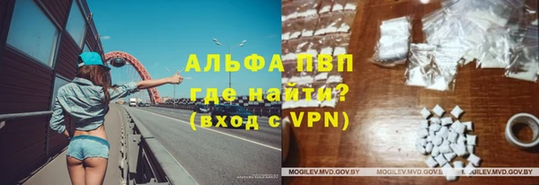 сатива Гусиноозёрск