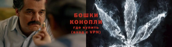 ECSTASY Гусев