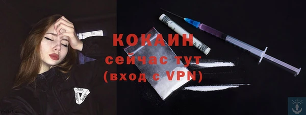 ECSTASY Гусь-Хрустальный