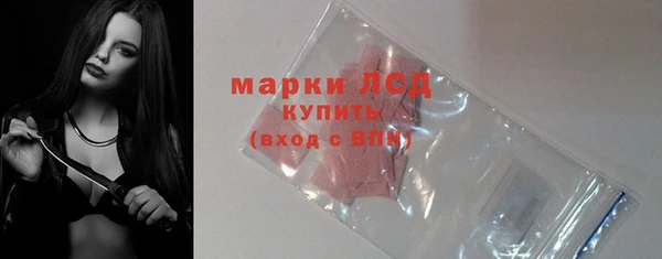 сатива Гусиноозёрск