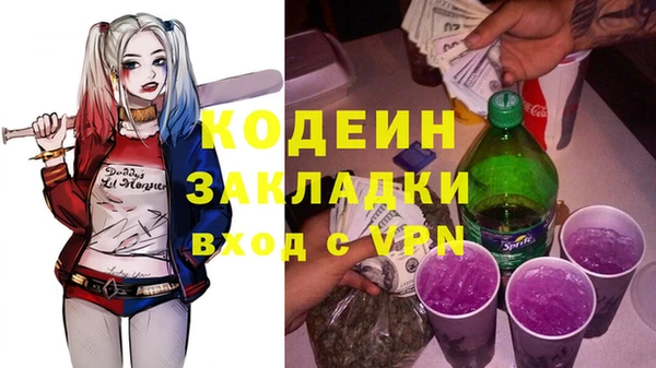 ECSTASY Гусь-Хрустальный
