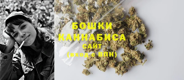 ECSTASY Гусь-Хрустальный