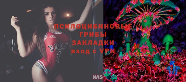 ECSTASY Гусь-Хрустальный