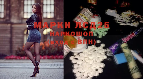 ECSTASY Гусь-Хрустальный