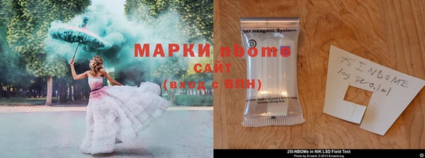 ECSTASY Гусев