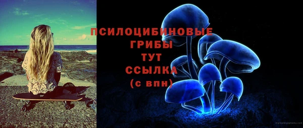 ECSTASY Гусь-Хрустальный